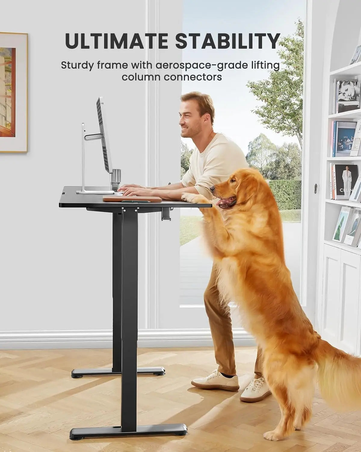 Electric Standing Desk