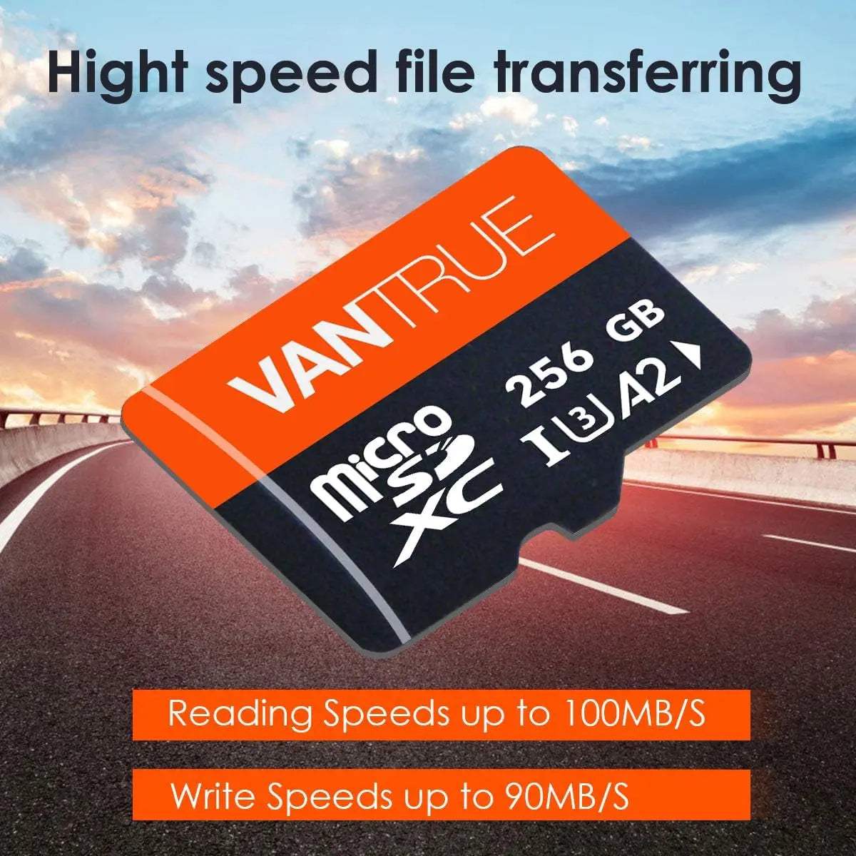 256GB MicroSDXC Card